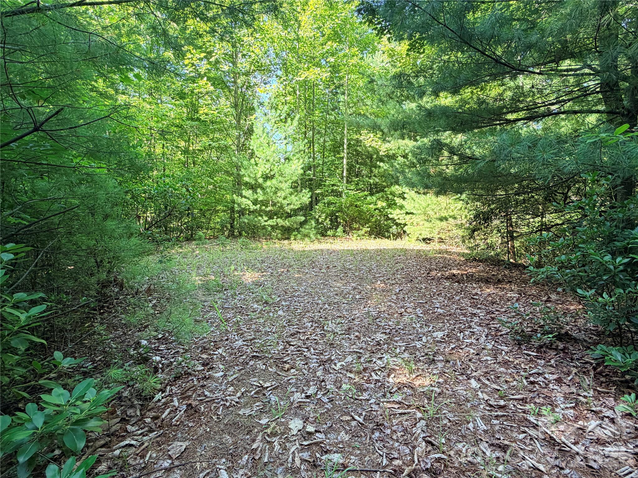 Tbd Blue Rock Road, Unit 171 & 172B Purlear, NC 28665 - Photo 2 of 44
