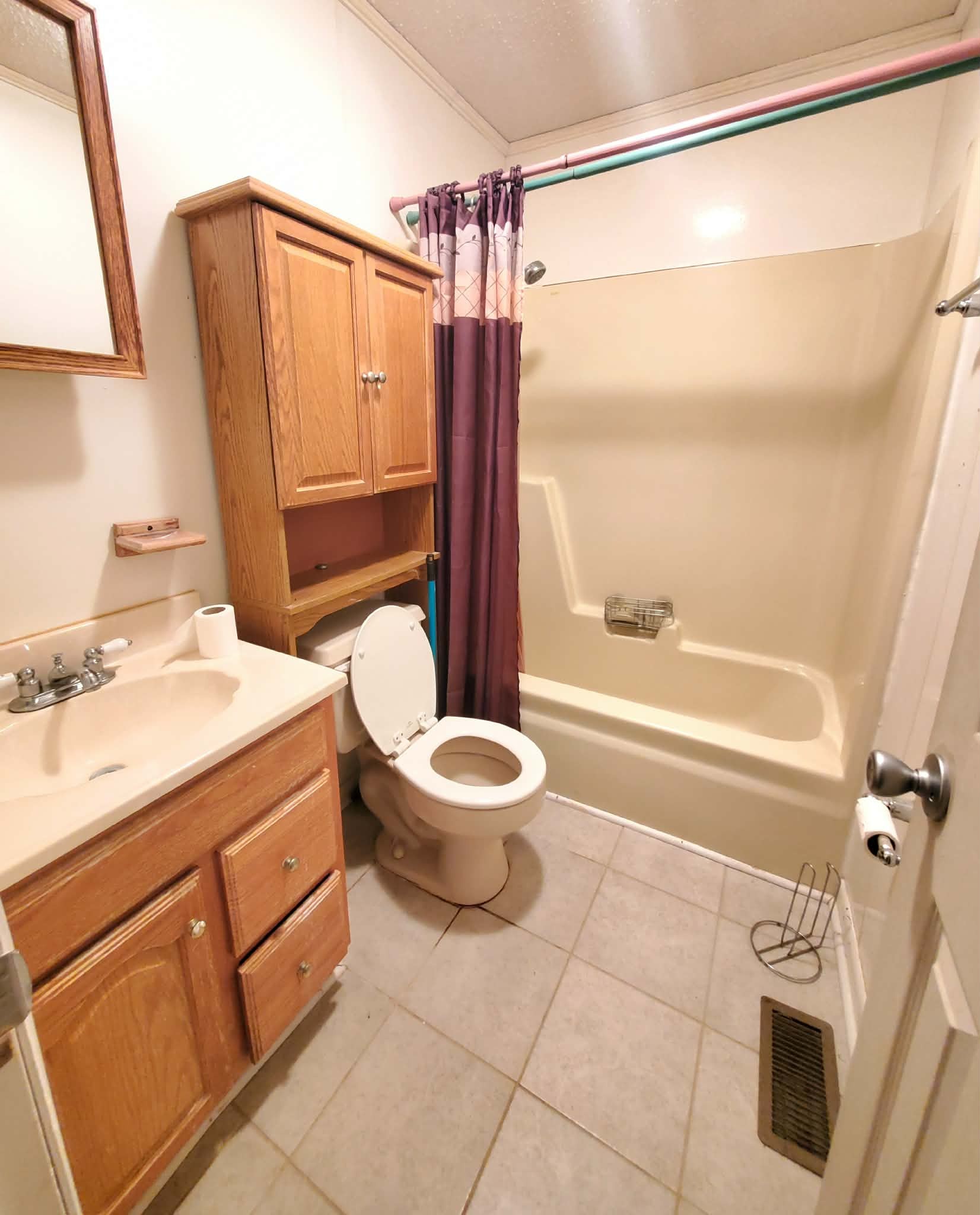 18 Roberts Lane Lebanon, TN 37087 - Photo 23 of 34 a bathroom with a sink a toilet and shower