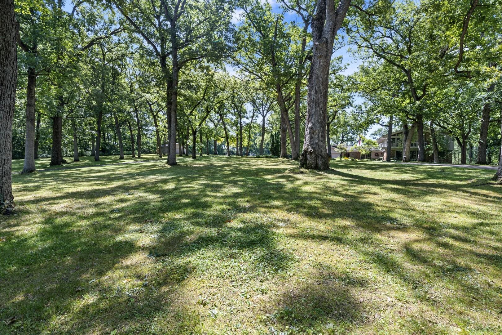 6351 Harlem Road Loves Park, IL 61111 - Photo 63 of 74 a big yard with lots of green space and trees in the background
