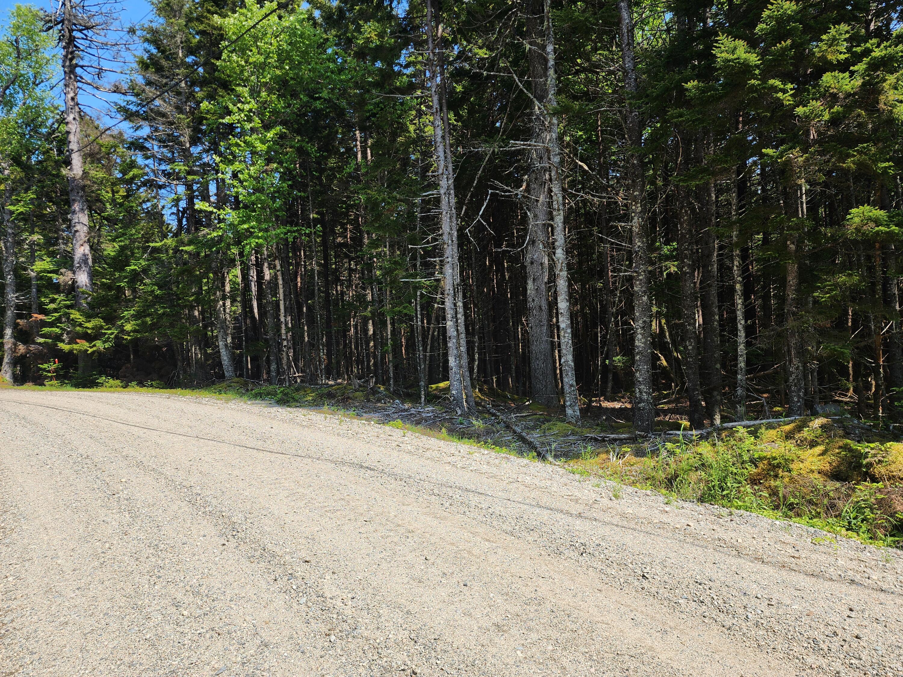25 Chambers Point Road Roque Bluffs, ME 04654 - Photo 5 of 12 20250611_142730