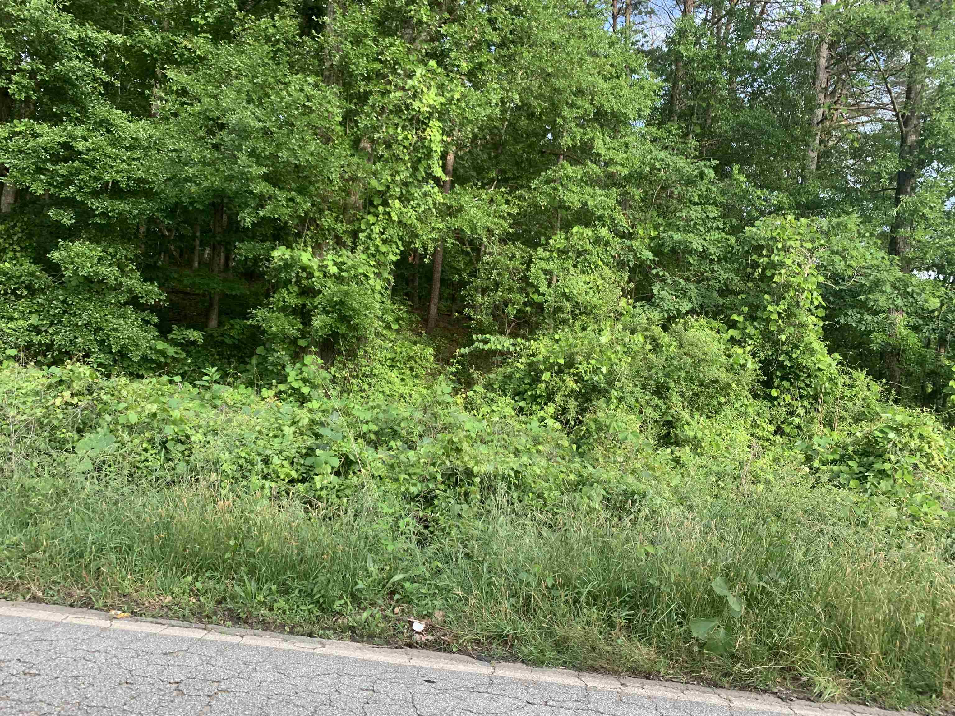 0 Archer Road Spartanburg, SC 29303 - Photo 12 of 13