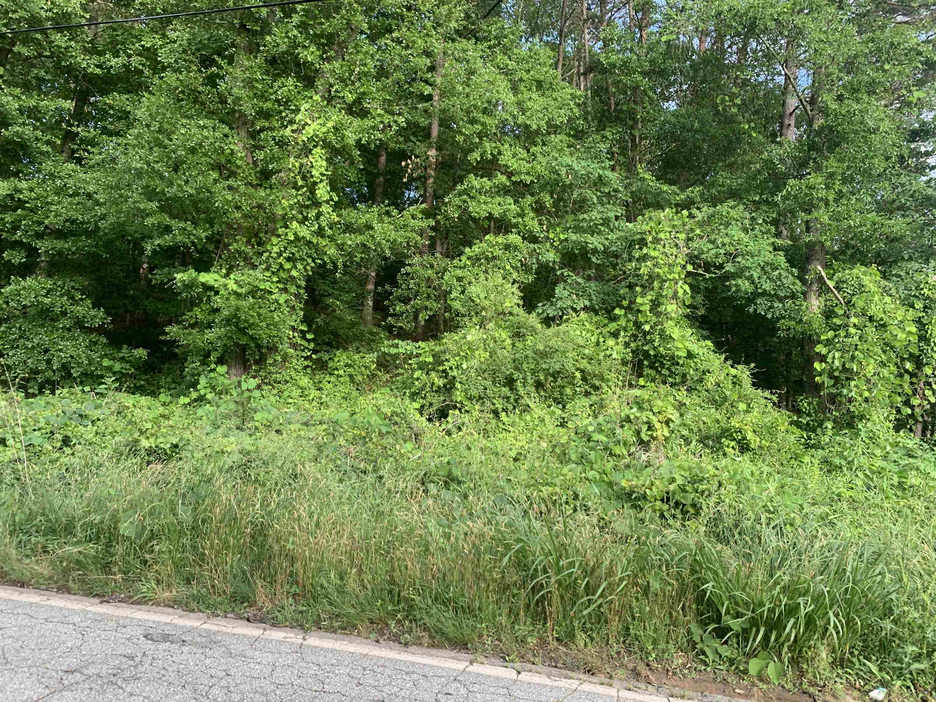 0 Archer Road Spartanburg, SC 29303 - Photo 3 of 13