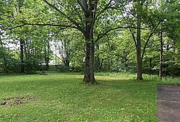 5105 Washington Road Lake, MI 48632 - Photo 3 of 11 yard updated