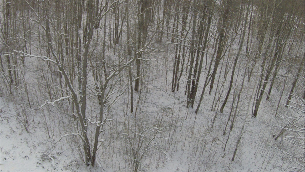 0 11 11 Mile Road Reed City, MI 49677 - Photo 18 of 19