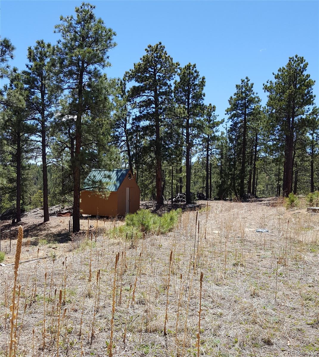 17222 Wilderness Ridge Road Weston, CO 81091 - Photo 21 of 26 Gallery Image 21