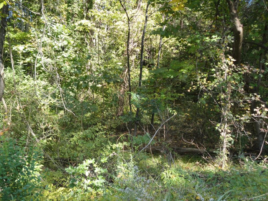 Lot 46 Tatum Road, Unit 46 Denver, NC 28037 - Photo 3 of 11 Gallery Image 3