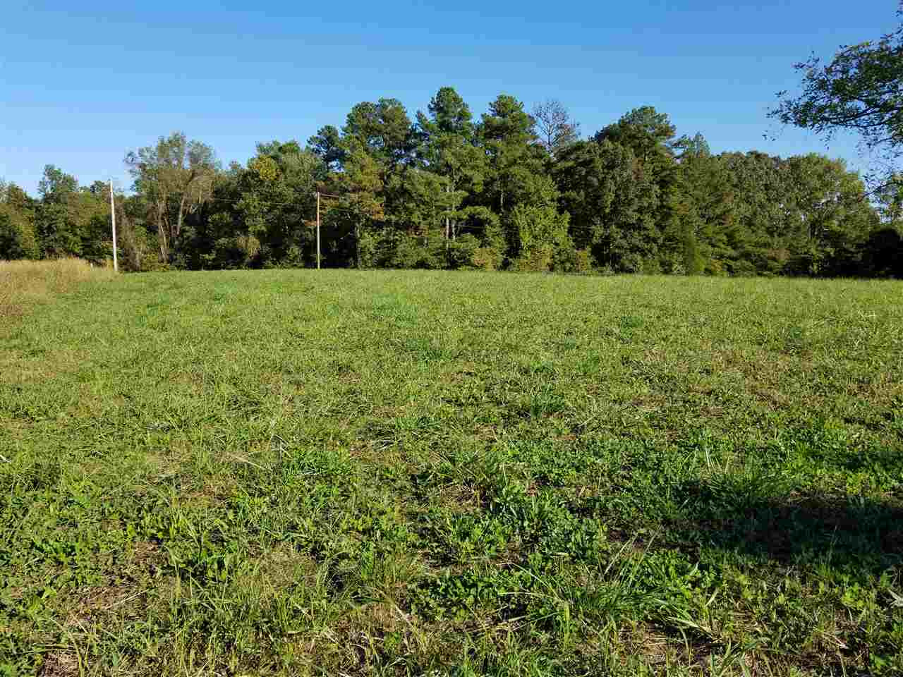 1 Love Road Jackson, TN 38301 - Photo 1 of 1 a view of a garden