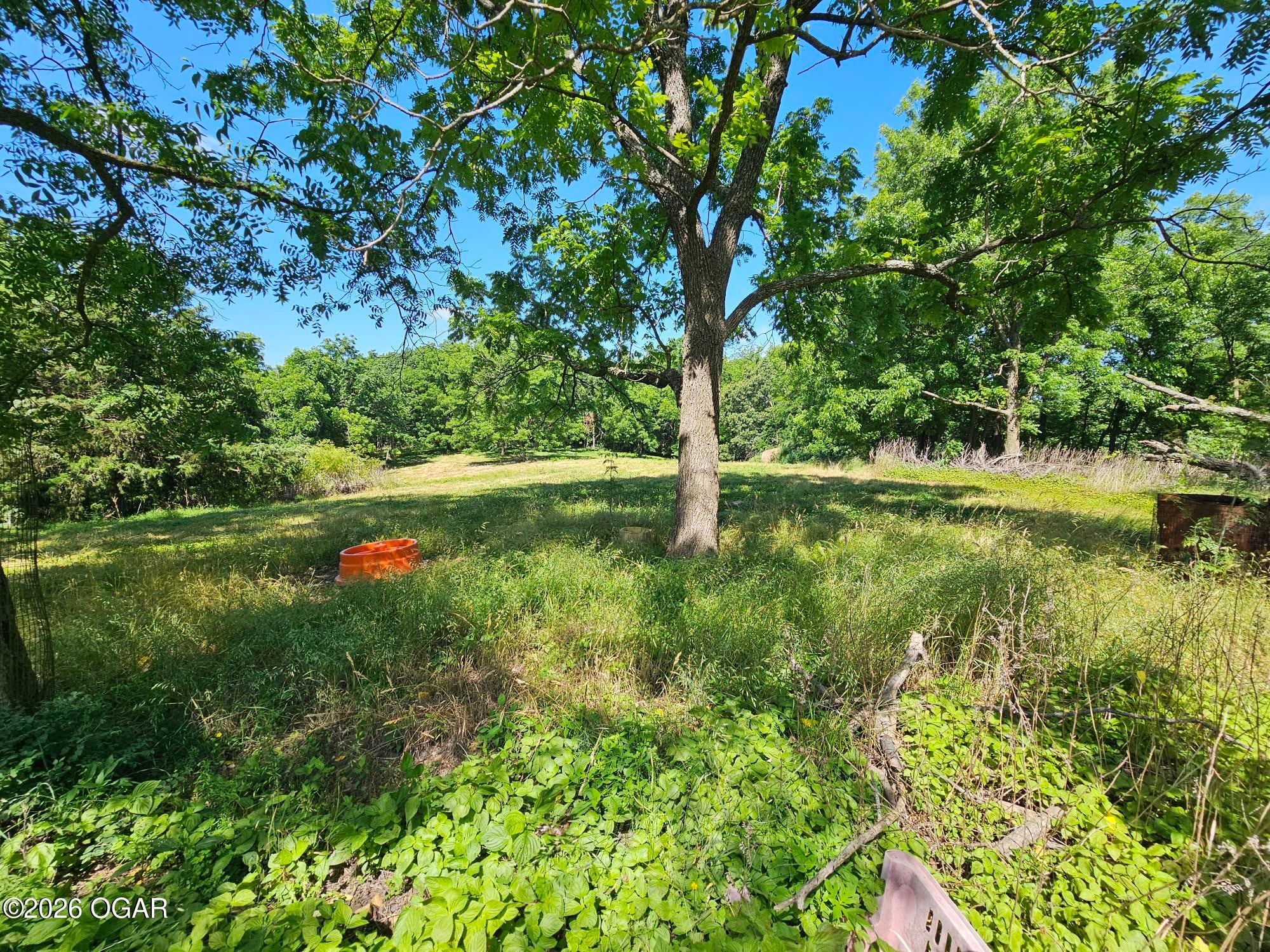 5383 Cowan Ridge Road Powell, MO 65730 - Photo 24 of 33 cowin ridge pic land 9-2