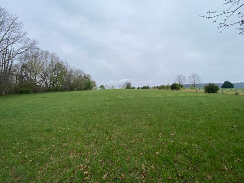 Lot 100 Ivanhoe Road, Unit 100A Max Meadows, VA 24360 - Photo 4 of 4 Gallery Image 4