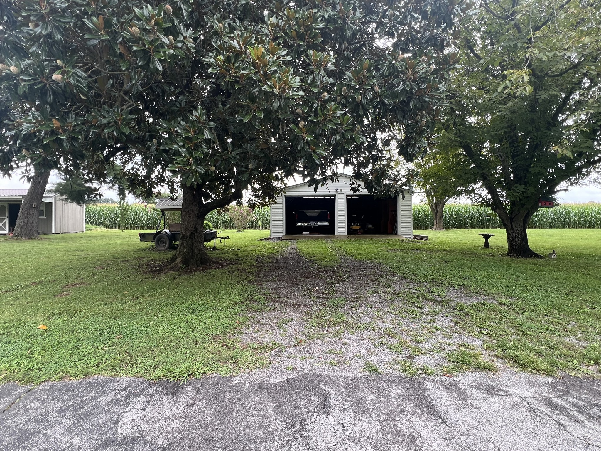 202 Riggs Avenue Portland, TN 37148 - Photo 5 of 22 Gallery Image 5