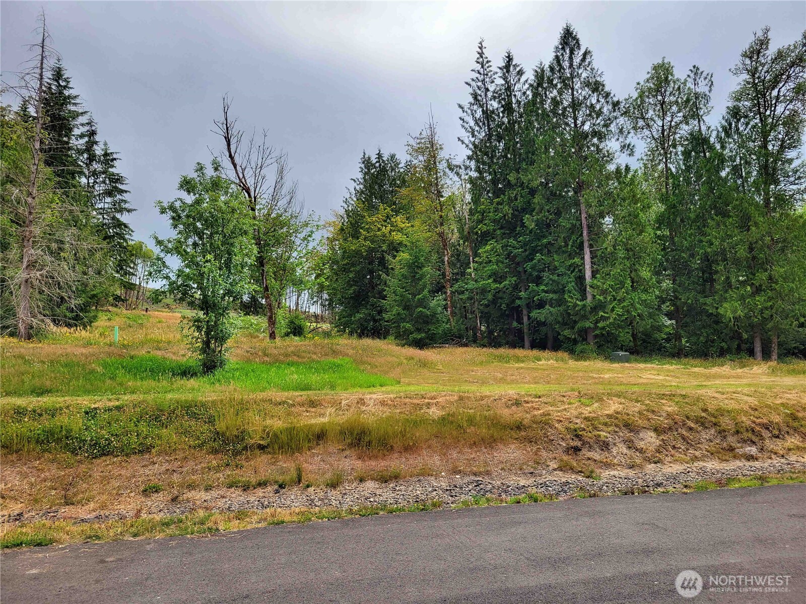 616 Smokey Valley Road Toledo, WA 98591 - Photo 5 of 36