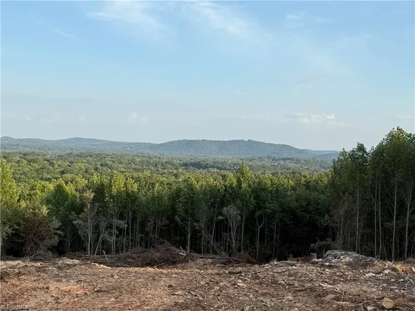 $999,900 | 0 Woodfield Drive, Sophia, NC 27350