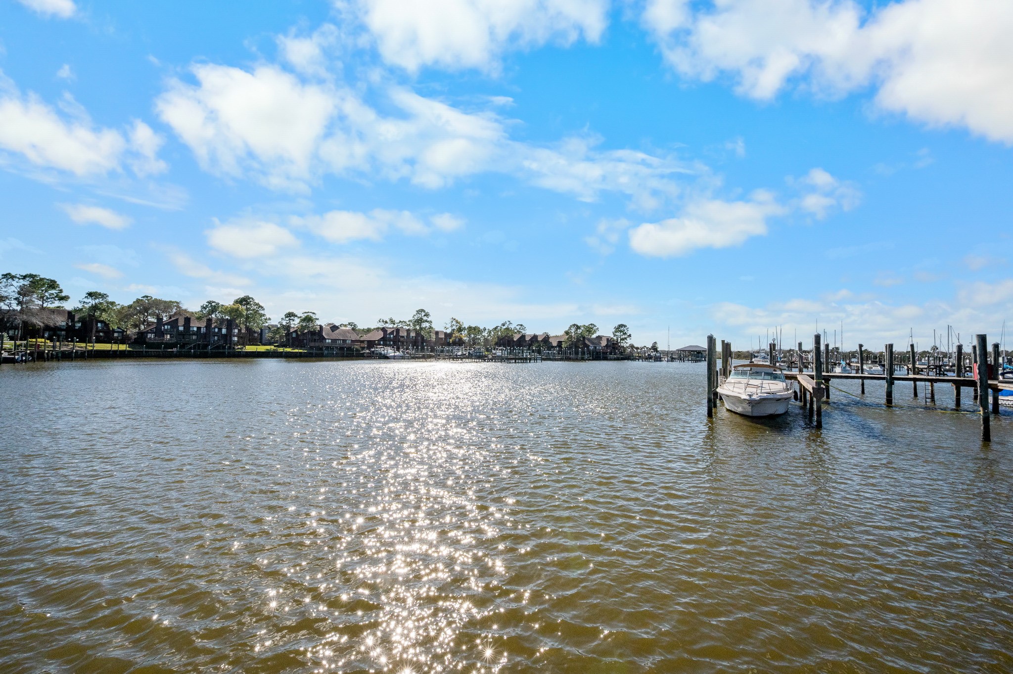 705 Davis Road League City, TX 77573 - Photo 24 of 26 Fish from your backyard.