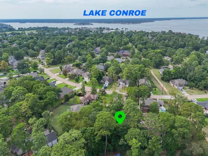 a view of a street with a lush green forest