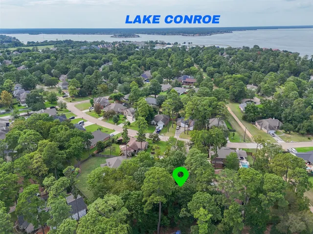 a view of a street with a lush green forest