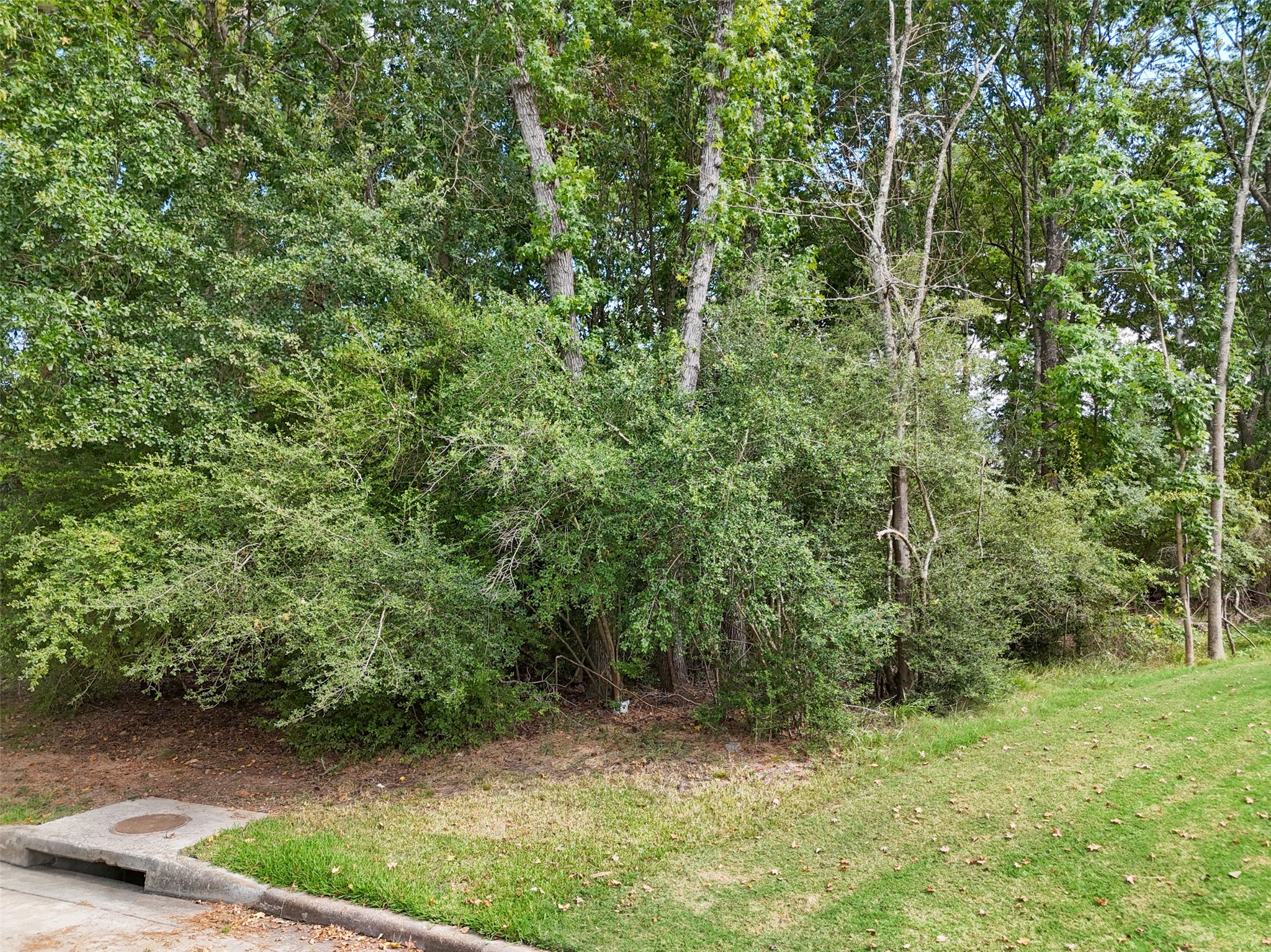3403 Concord Circle Montgomery, TX 77356 - Photo 12 of 17 a view of a yard with a tree