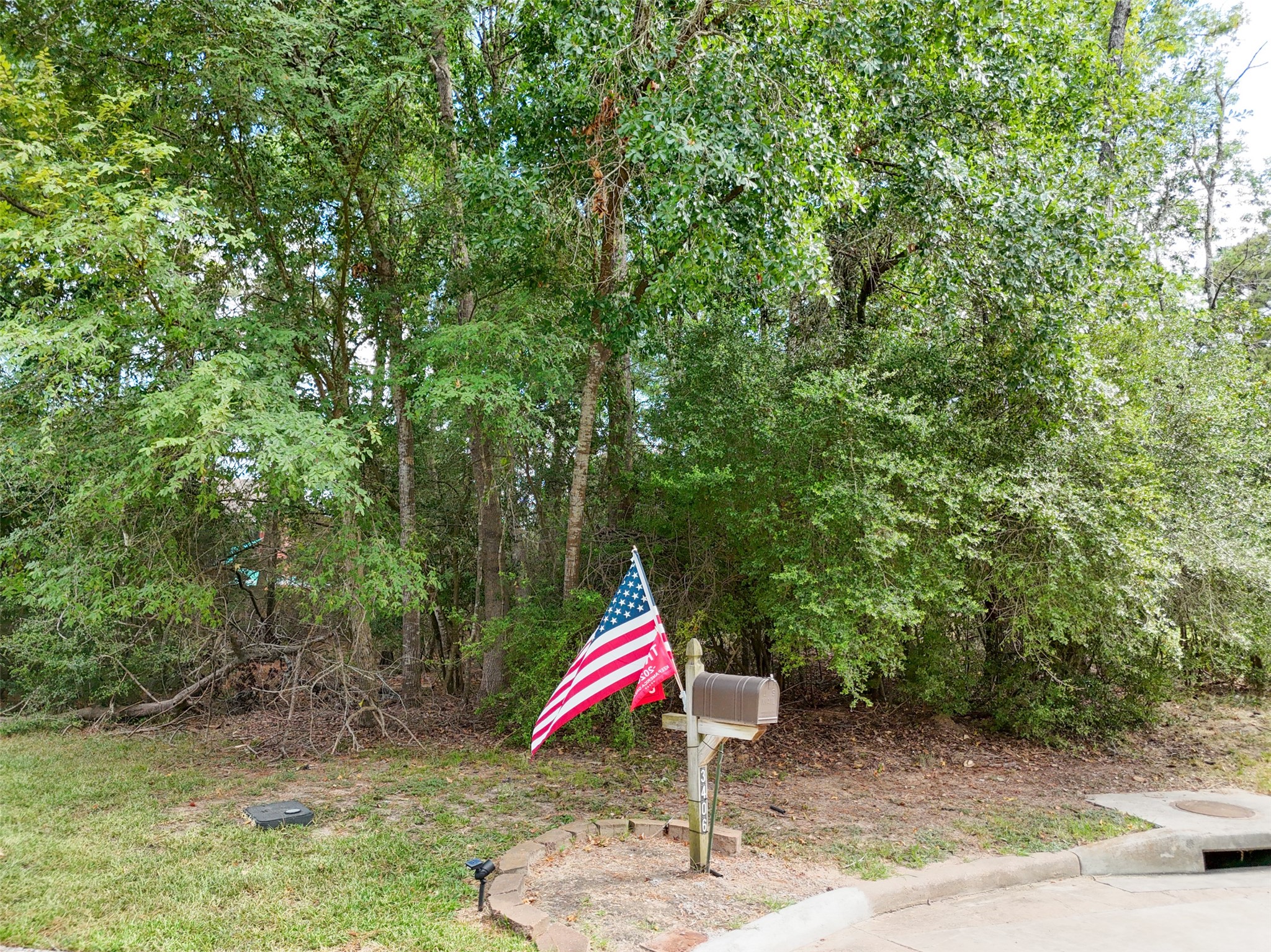 3403 Concord Circle Montgomery, TX 77356 - Photo 13 of 17 a view of a park with large trees