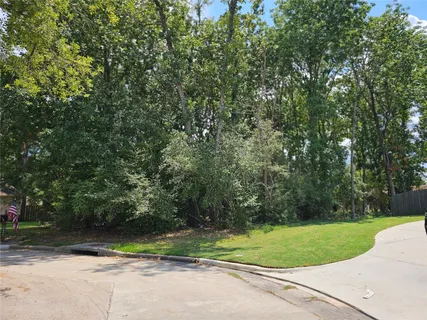 a view of a park with large trees