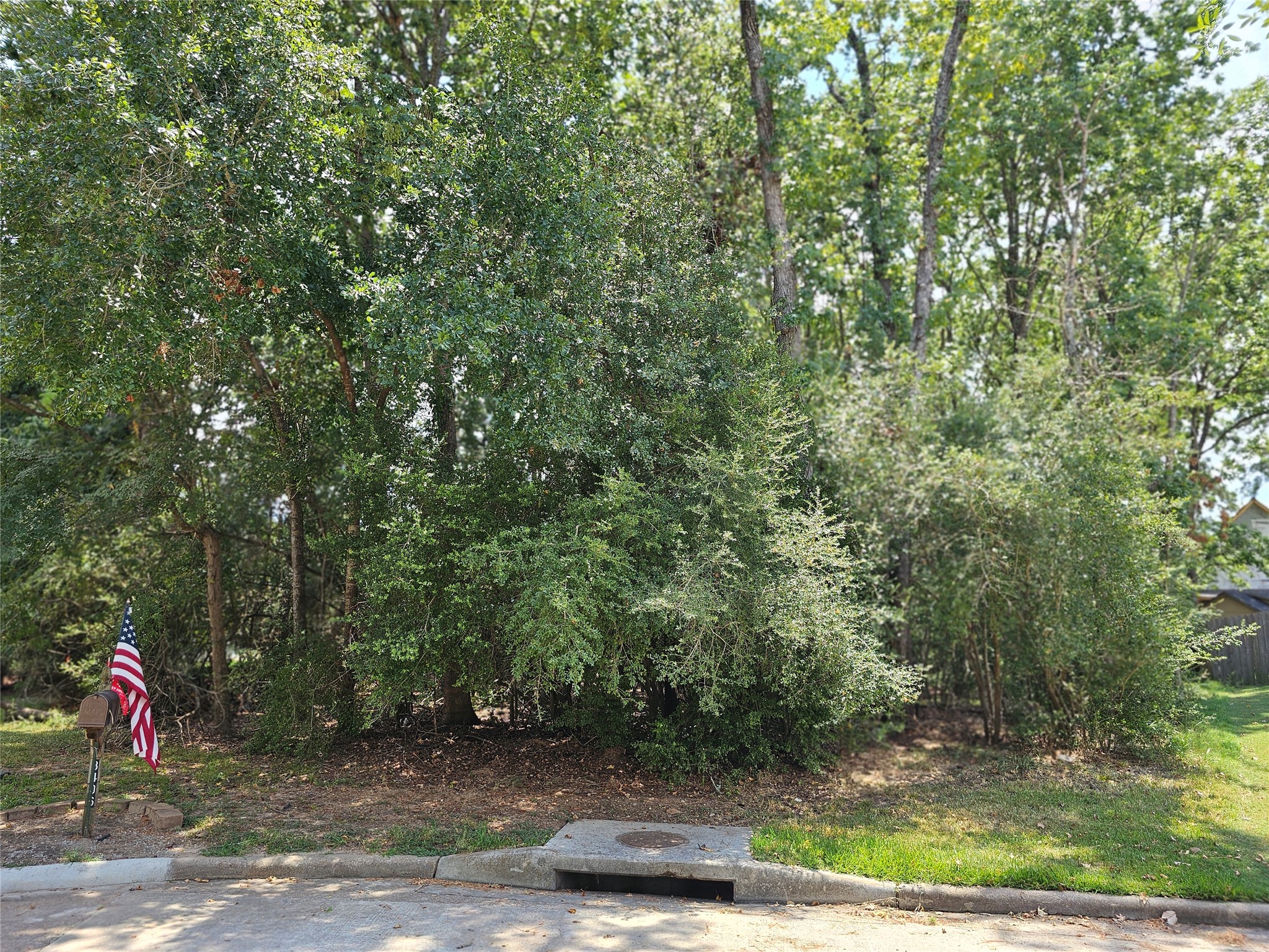3403 Concord Circle Montgomery, TX 77356 - Photo 7 of 17 a view of a park with large trees