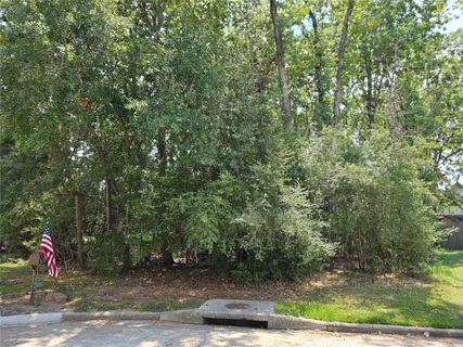 a view of a park with trees