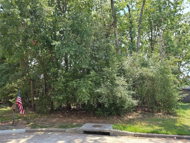 a view of a park with trees