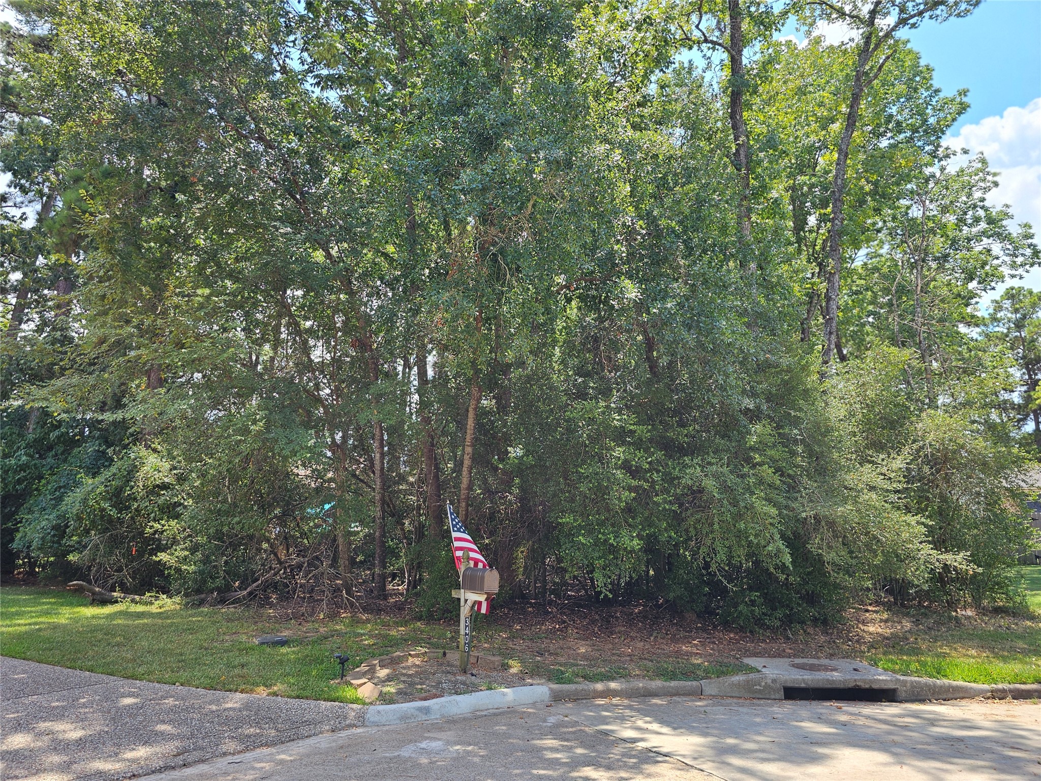 3403 Concord Circle Montgomery, TX 77356 - Photo 8 of 17 a view of a park with trees