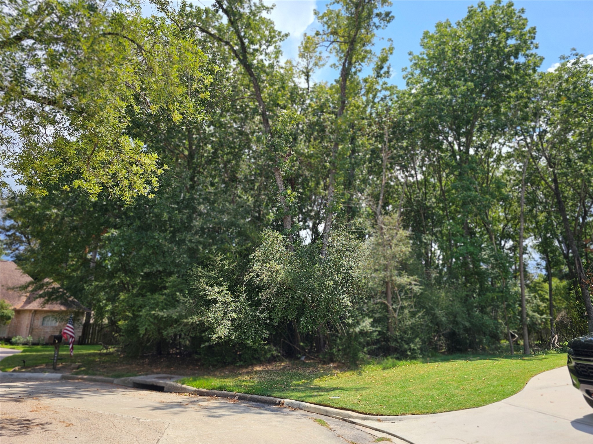 3403 Concord Circle Montgomery, TX 77356 - Photo 10 of 17 a view of a yard