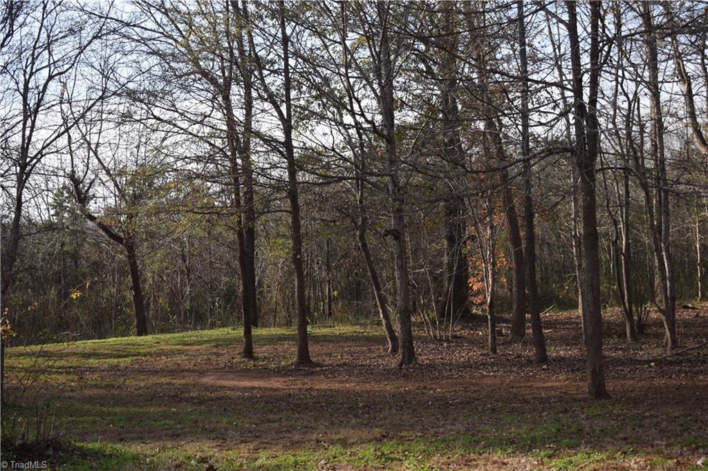 552 Frank Short Road Mocksville, NC 27028 - Photo 7 of 29 Gallery Image 7