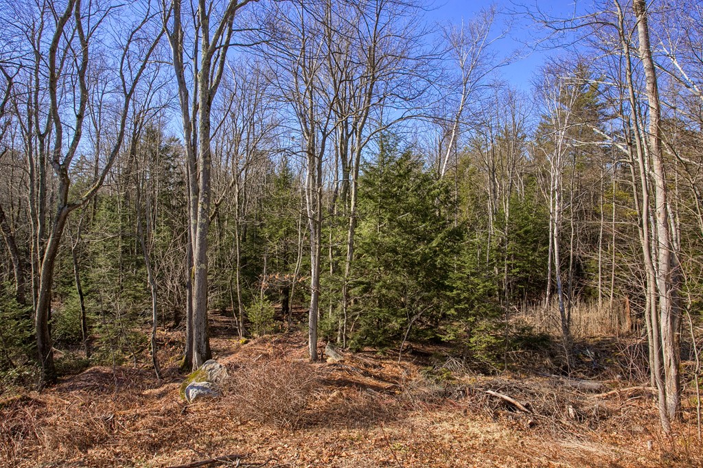 29 Ridge Street Westminster, MA 01473 - Photo 6 of 29 Gallery Image 6