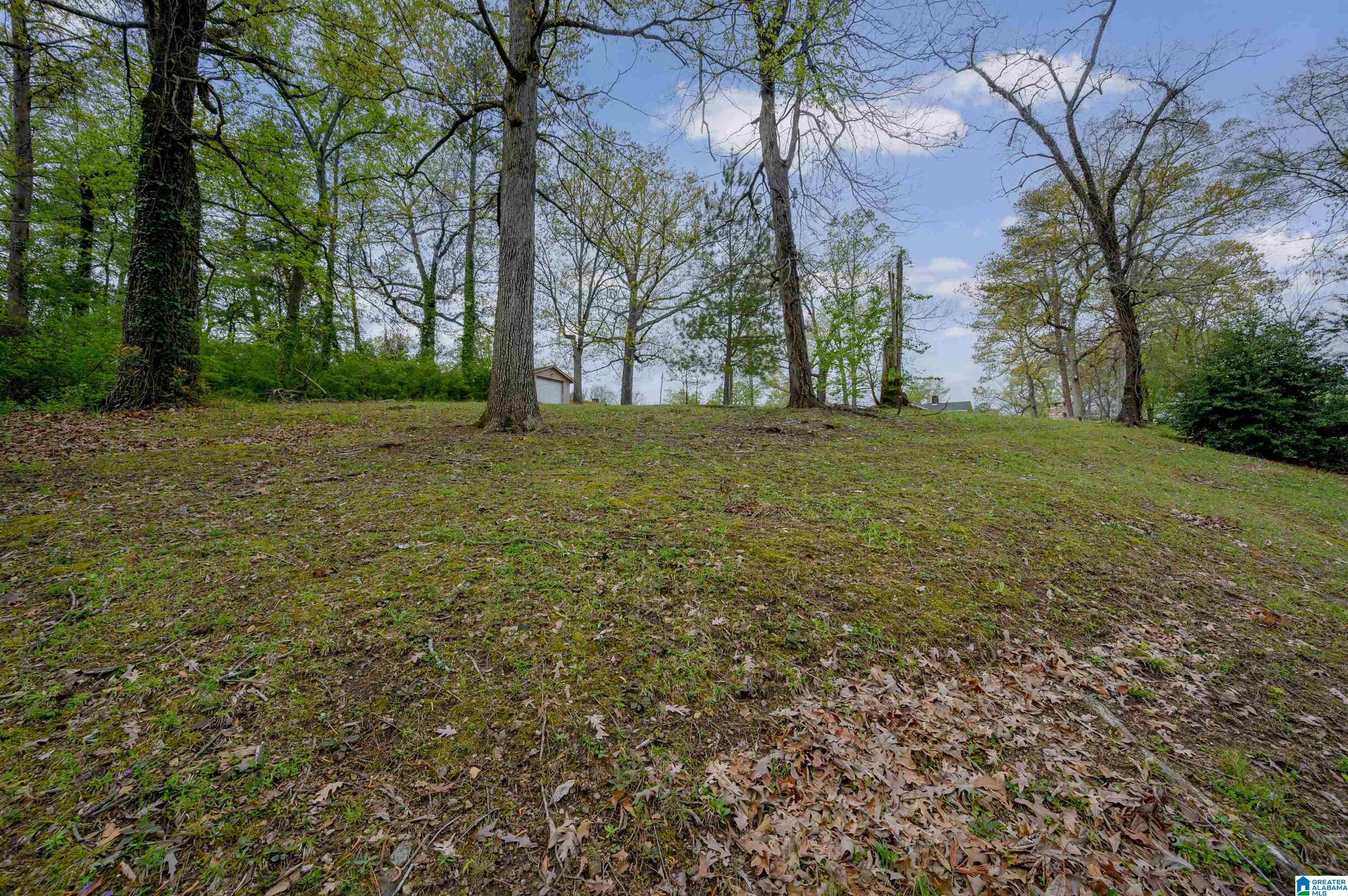 1020 Rutledge Drive Birmingham, AL 35228 - Photo 35 of 38