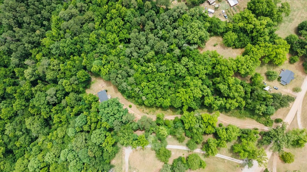 1701 Watson Bailey Road Harlem, GA 30814 - Photo 3 of 42