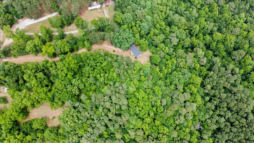 1701 Watson Bailey Road Harlem, GA 30814 - Photo 5 of 42
