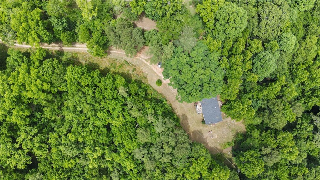 1701 Watson Bailey Road Harlem, GA 30814 - Photo 6 of 42
