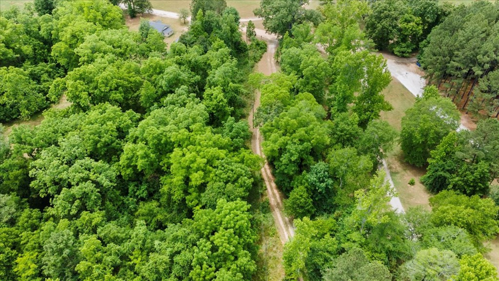 1701 Watson Bailey Road Harlem, GA 30814 - Photo 8 of 42