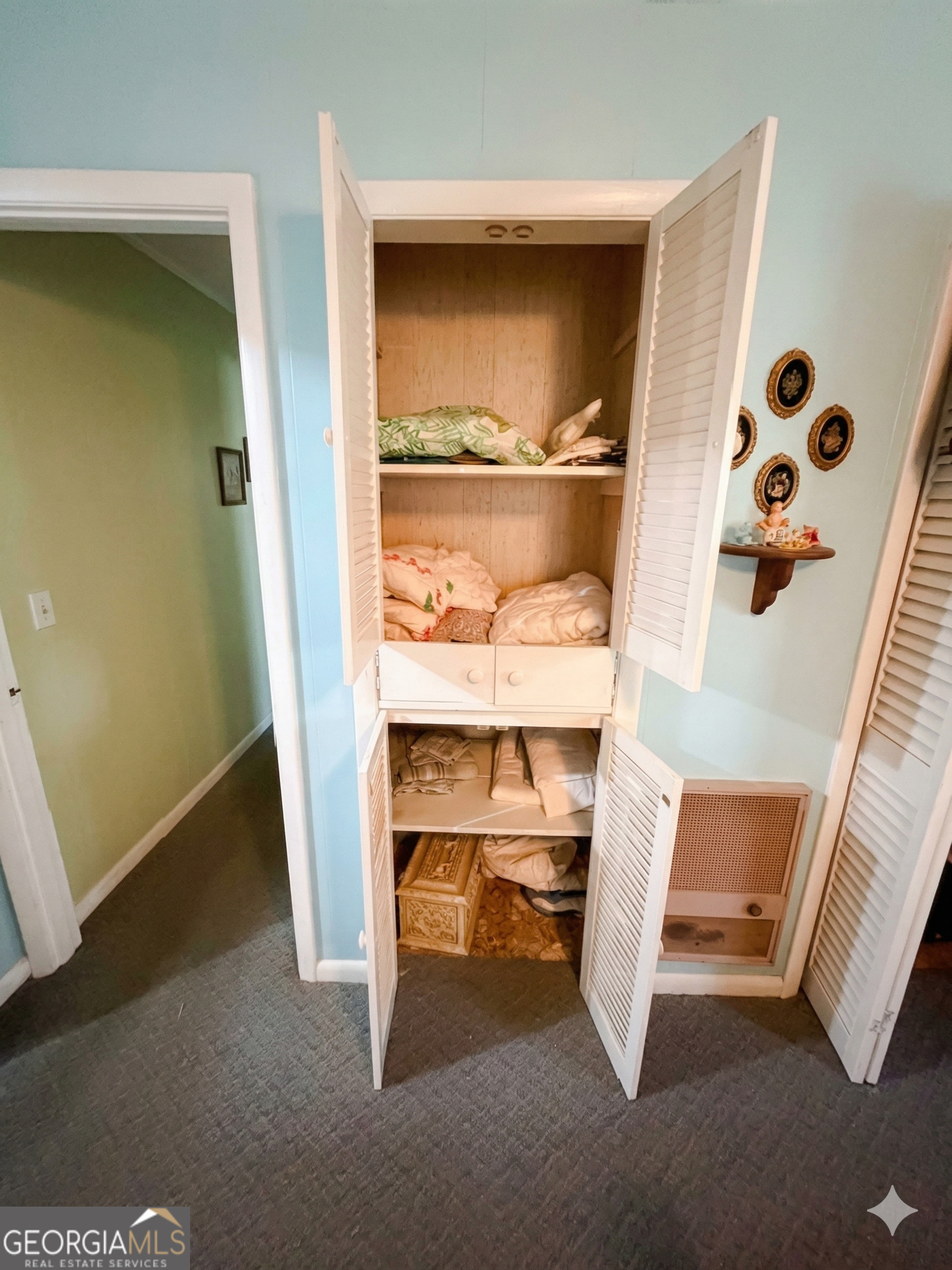32737 Highway 48 Graham, AL 36263 - Photo 19 of 69 a view of walk in closet with empty racks