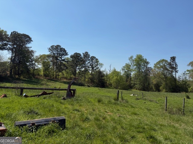 32737 Highway 48 Graham, AL 36263 - Photo 43 of 69 a view of a park with large trees