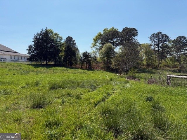 32737 Highway 48 Graham, AL 36263 - Photo 48 of 69