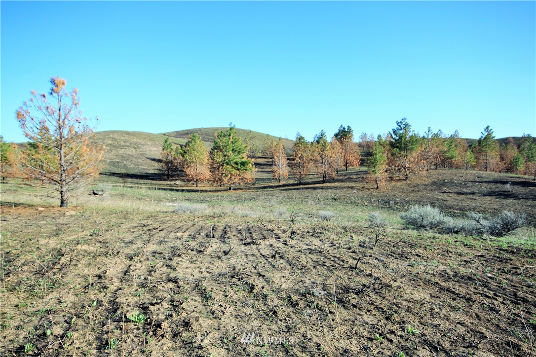 1699 Road E Road Northwest Waterville, WA 98858 - Photo 11 of 12 Gallery Image 11