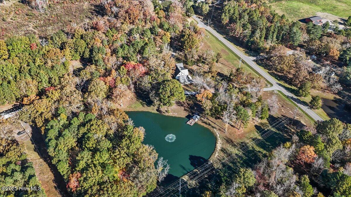 151 Borden Road Carthage, NC 28327 - Photo 45 of 48 19-dji_fly_20240211_043232_0212_17619459