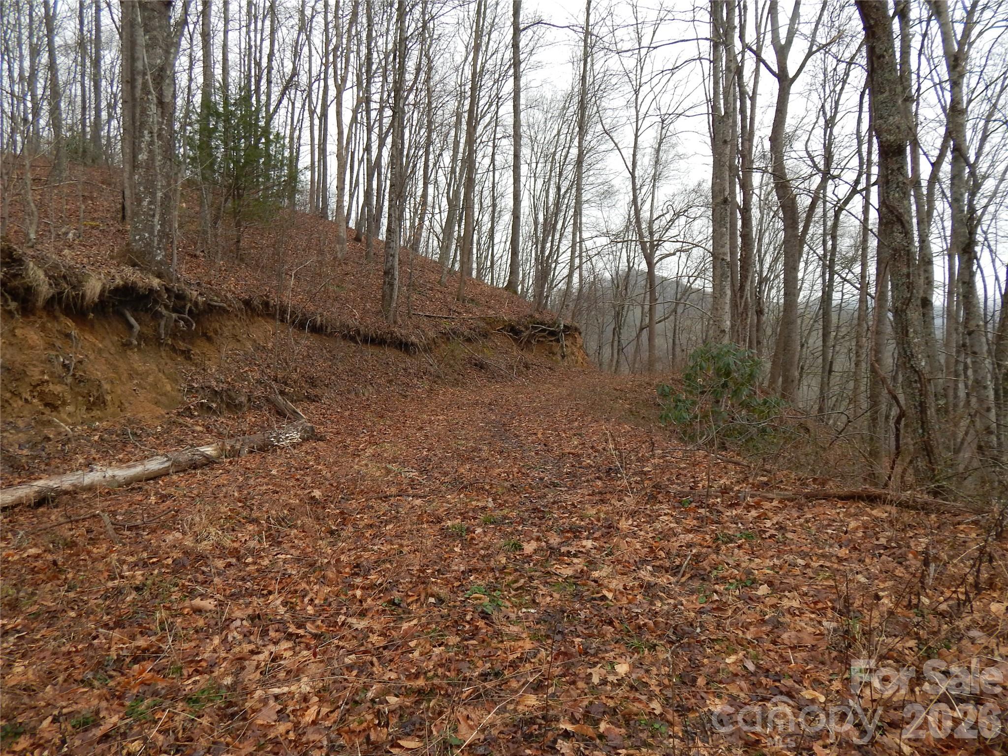 0 Henry Road Sylva, NC 28779 - Photo 10 of 25 Gallery Image 10