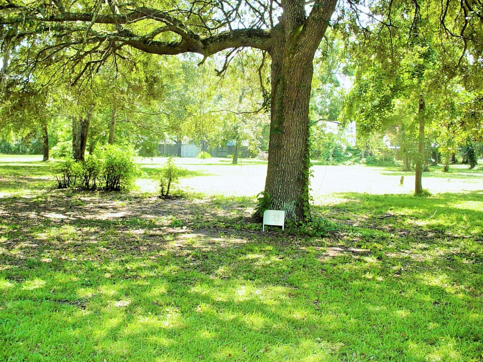 121 Broughton Hall Road Pinopolis, SC 29469 - Photo 1 of 8 DSC03556