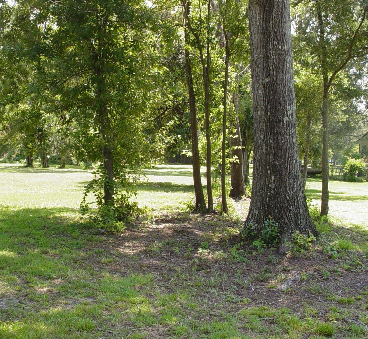 121 Broughton Hall Road Pinopolis, SC 29469 - Photo 2 of 8 DSC03553