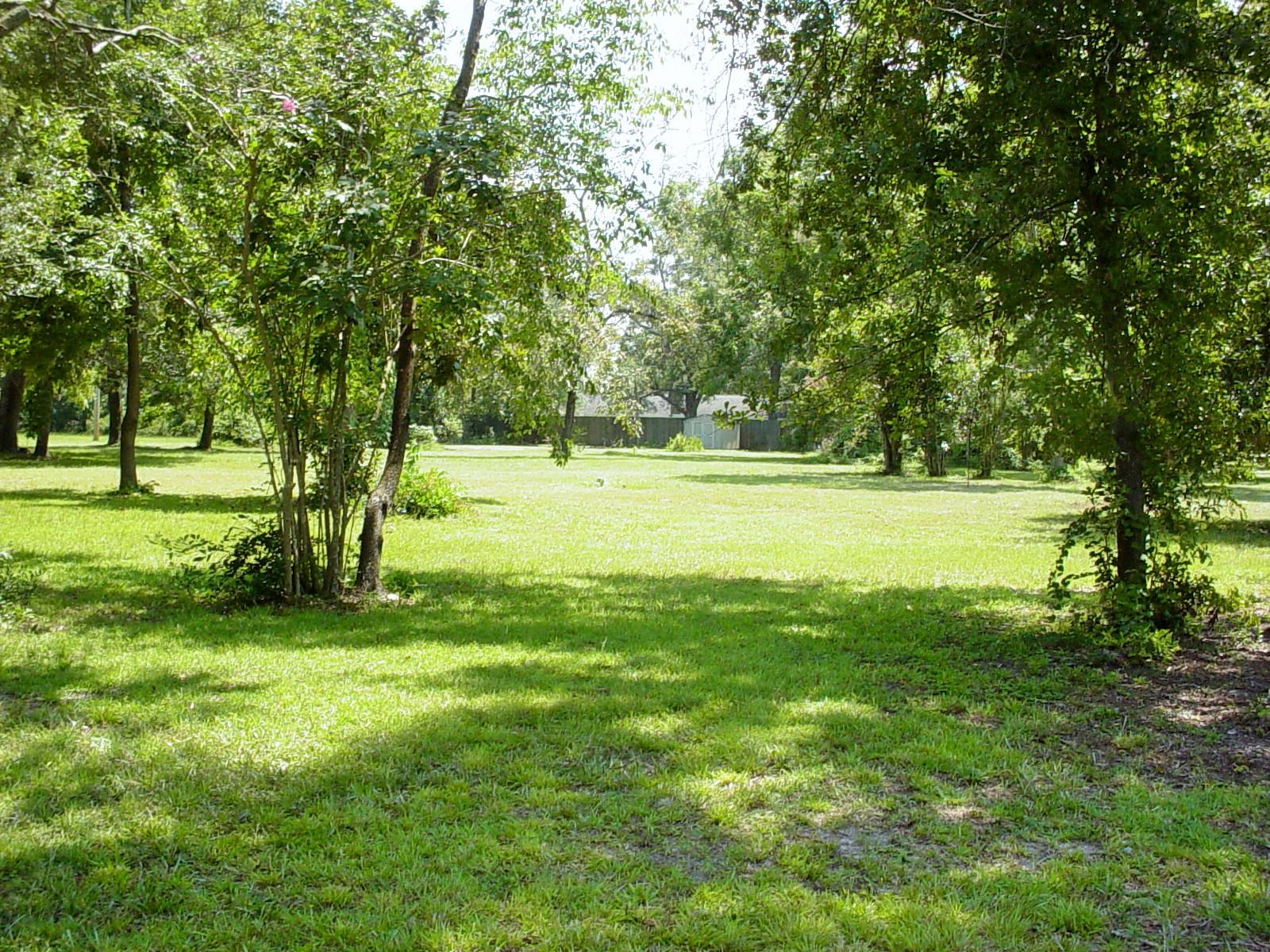 121 Broughton Hall Road Pinopolis, SC 29469 - Photo 3 of 8 DSC03554