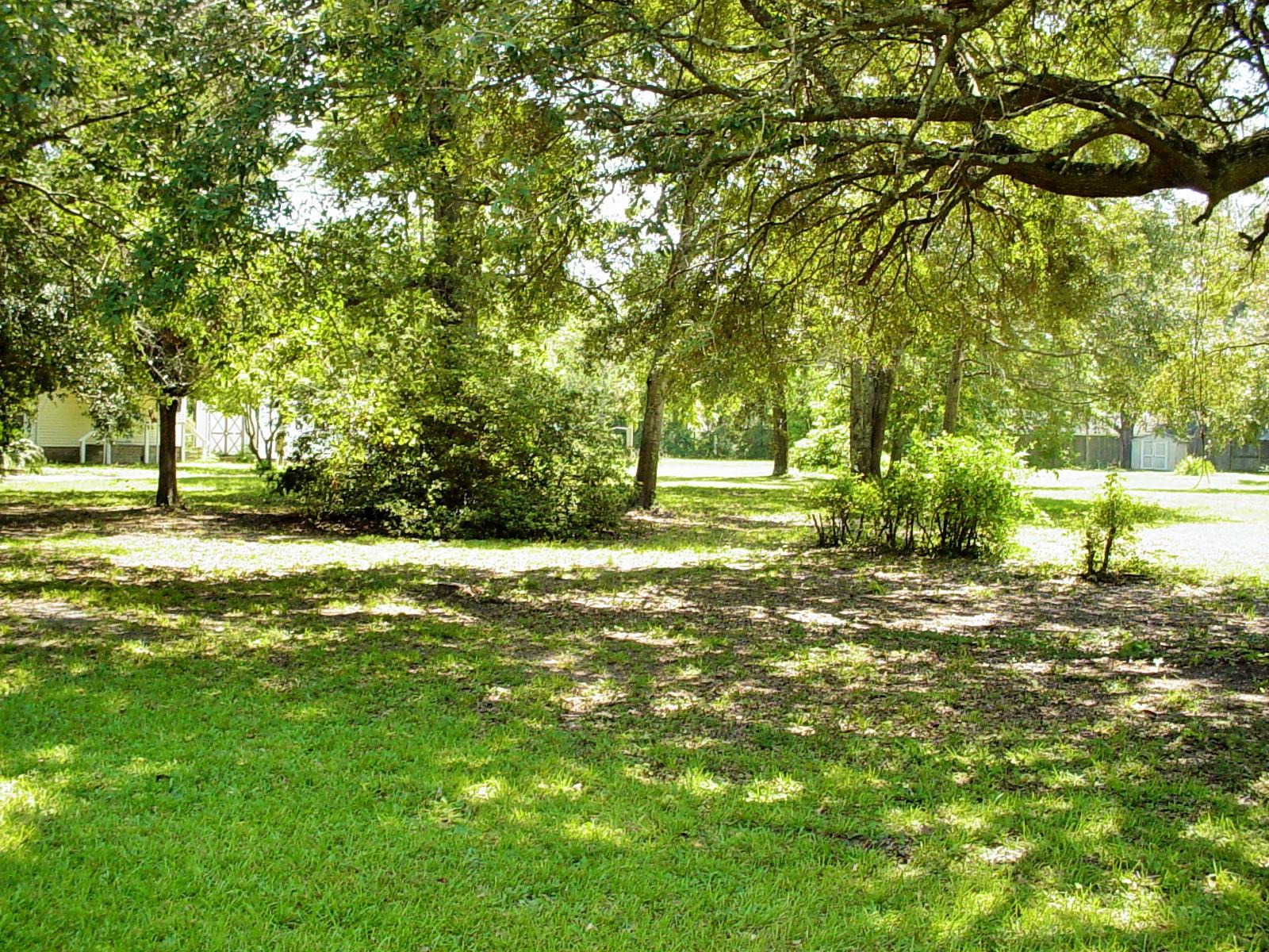 121 Broughton Hall Road Pinopolis, SC 29469 - Photo 4 of 8 DSC03557