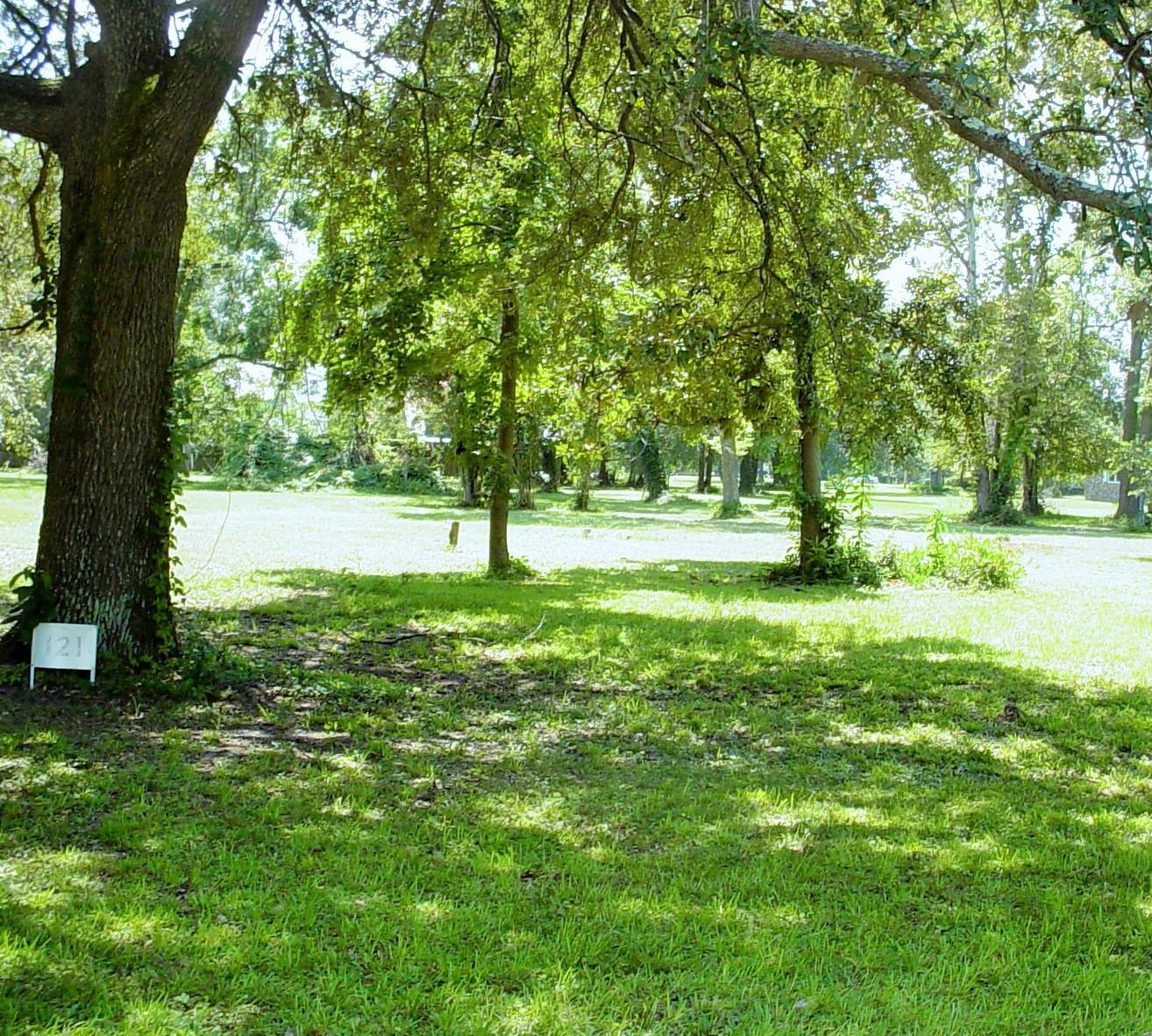 121 Broughton Hall Road Pinopolis, SC 29469 - Photo 5 of 8 DSC03558
