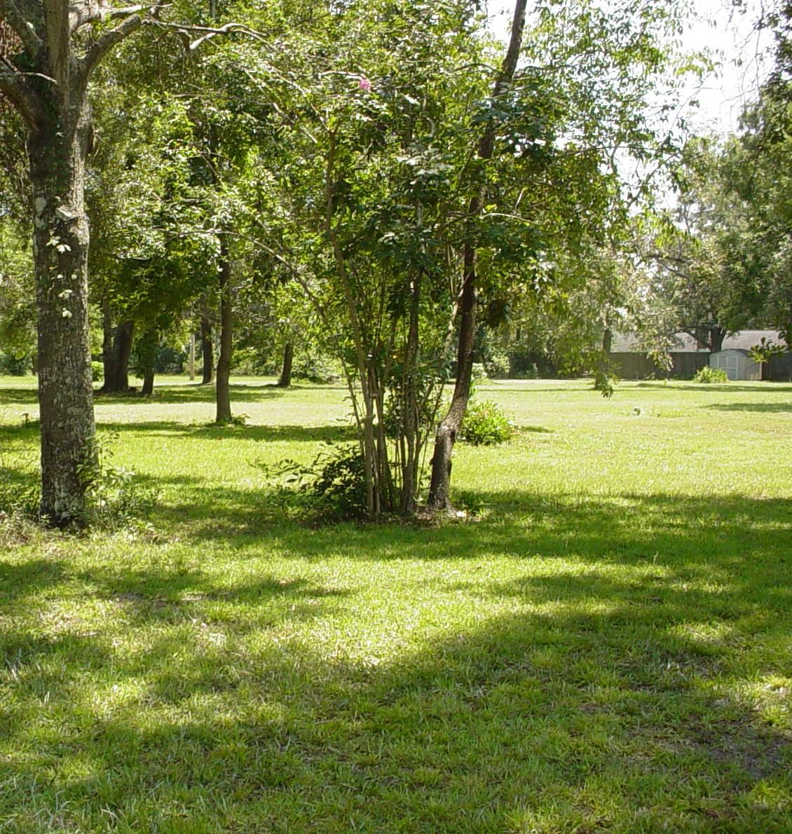 121 Broughton Hall Road Pinopolis, SC 29469 - Photo 6 of 8 DSC03555