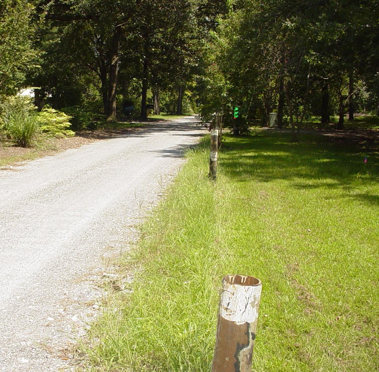 121 Broughton Hall Road Pinopolis, SC 29469 - Photo 7 of 8 DSC03559