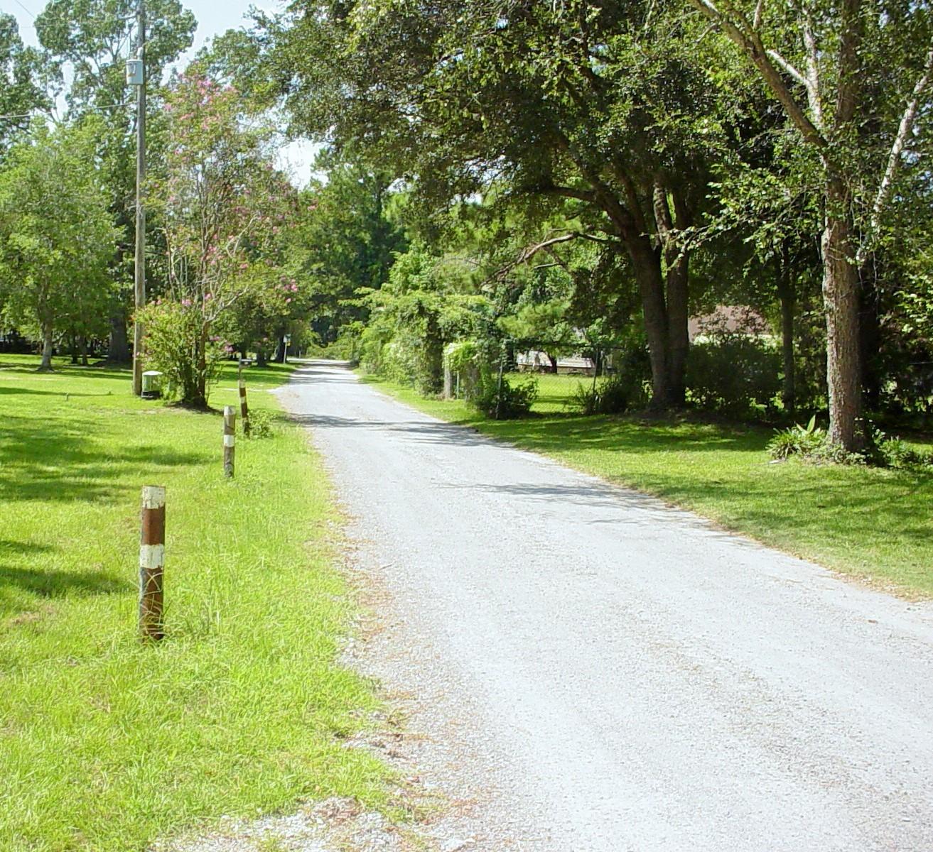 121 Broughton Hall Road Pinopolis, SC 29469 - Photo 8 of 8 DSC03561