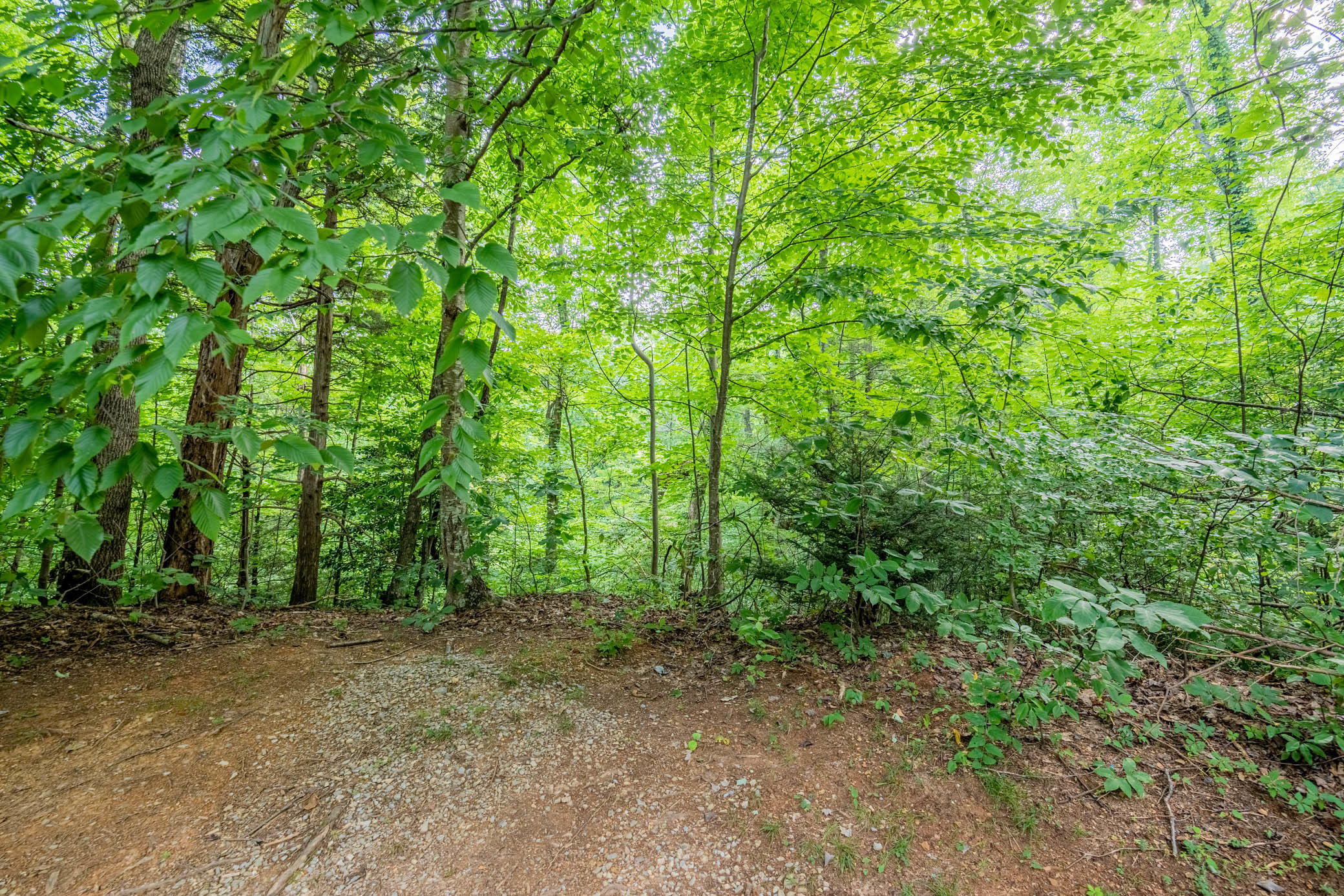 Lot 0662 Battle Top Road Sevierville, TN 37876 - Photo 1 of 13 _DSC6177-HDR