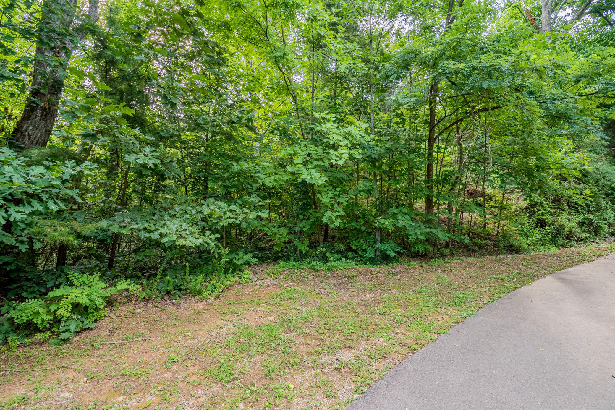 Lot 0662 Battle Top Road Sevierville, TN 37876 - Photo 2 of 13 _DSC6182-HDR